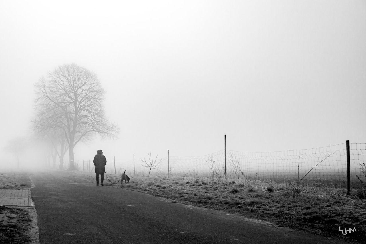 Spaziergang im Nebel